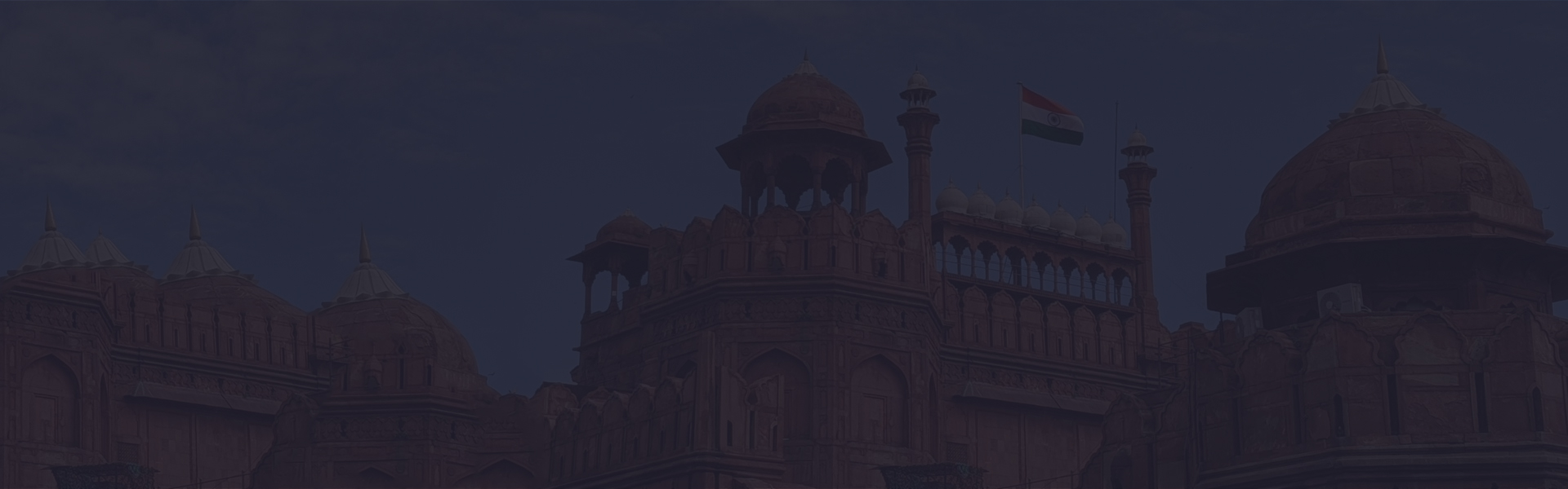 SEO Company in India