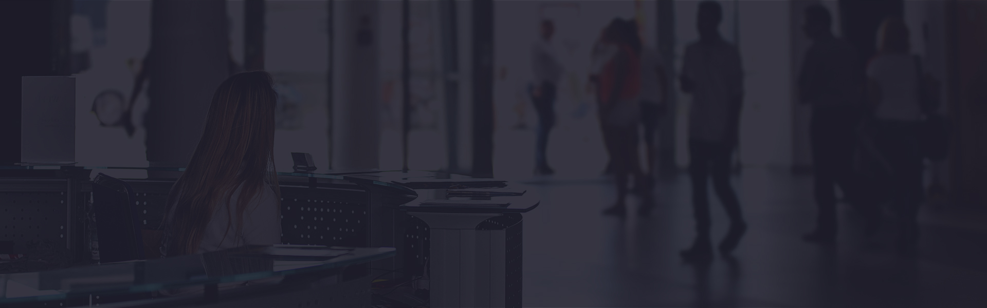 Mayank SEO Services Header