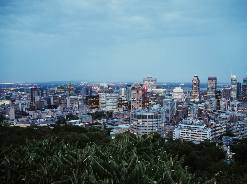 SEO Services in Montreal